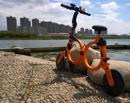 Ce/EEC/DOT Electric Bicycle Folding Lithium Battery with Bluetooth APP GPS