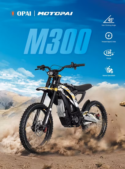 Batteria al litio pieghevole per bicicletta elettrica Ce/EEC/DOT con APP Bluetooth GPS