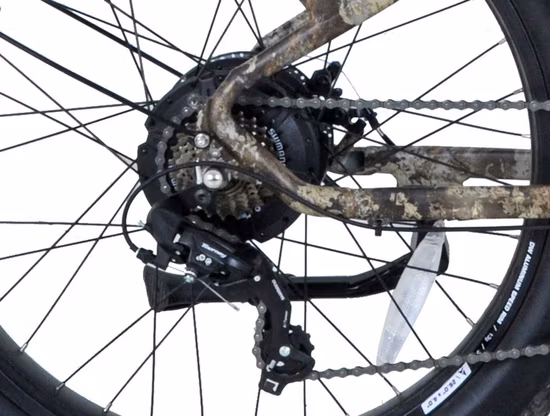 OEM per bicicletta elettrica per adolescenti 19
